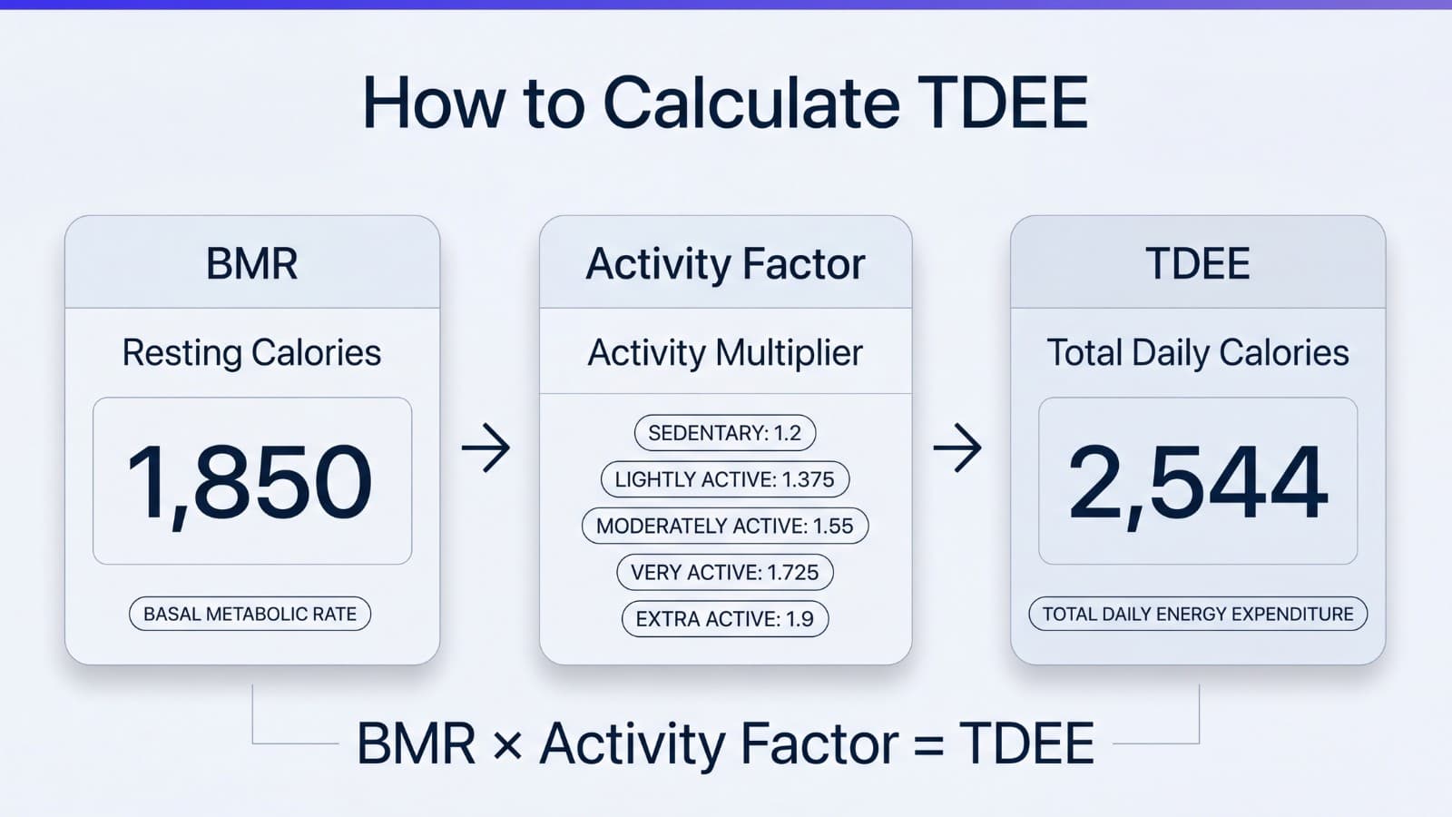 TDEE calculation graphic showing BMR, activity factor, and total daily energy expenditure